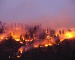 Waldbrand - Waldbrände in Spanien und Portugal sorgen für Straßensperrungen und Evakuierungen.