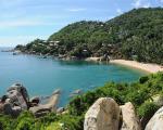 Thailand-Koh-Samui - Giftige Würfelquallen sorgen für Badeverbote auf Koh Phangan in Thailand.