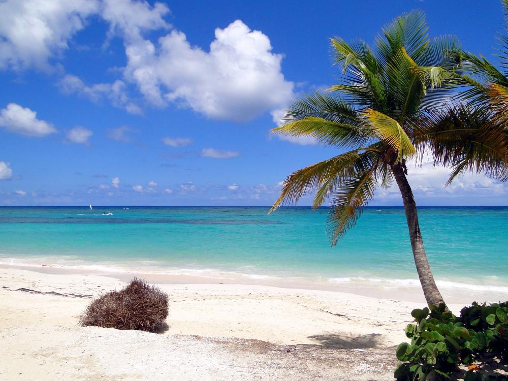 Dominikanische Republik: Punta Cana II
