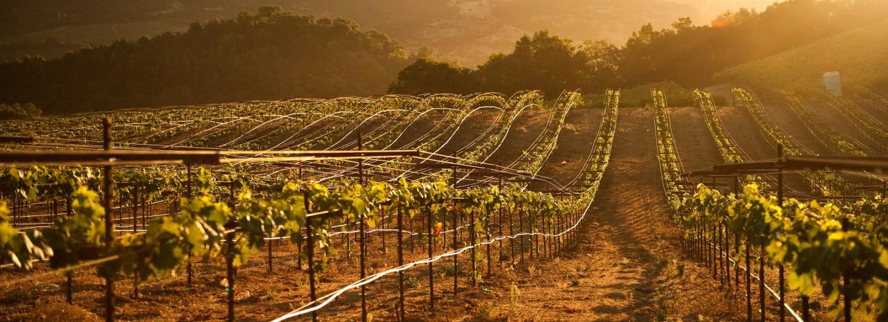 Rundreise_USA: Kalifornien - Solvang