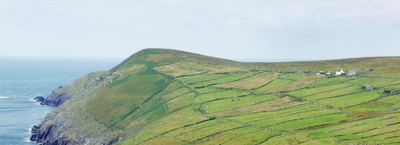 Rundreise Irland: Kerry - Dursey Island