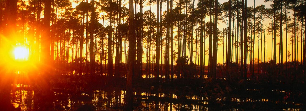 Rundreise USA: Florida - Wakulla Springs State Park