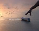 Strand Flasche Müll - Die dänische Insel Bornholm will bis 2032 müllfrei sein.
