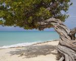 Karibik: Aruba - Für die Einreise nach Aruba und Curaçao benötigen Besucher künftig eine digitale Einreisekarte.