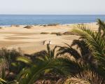 Spanien: Gran Canaria Maspalomas - Auf den Kanaren wurde Gran Canaria auf die Warnstufe 2 heraufgestuft.
