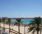 Spanien: Mallorca Can Pastilla Strand Palmen - Gastronomische Betriebe auf Mallorca dürfen bald wieder zu 75 Prozent besetzt werden.