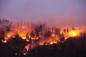 Waldbrande Griechenland Ruft Notstand Aus