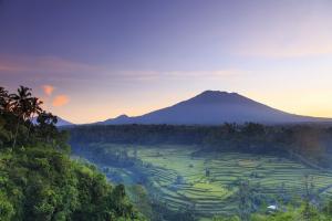 Vulkan Bali