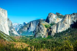USA - Kalifornien - Yosemite National Park
