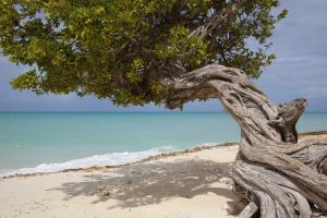 Karibik: Aruba