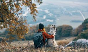 wandern+hund+wald+wiese