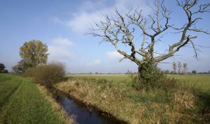 Naturschutzgebiet Werderland - Bremen Naturschutzgebiet Werderland - Bremen