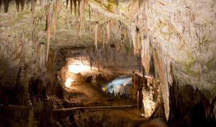 Postojnahöhle - Slowenien Postojnahöhle - Slowenien