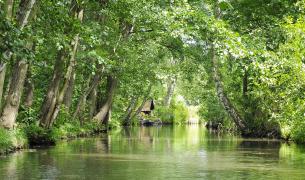 254208+Deutschland+Spreewald