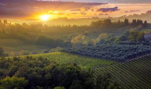 Italien: Toskana - Herbst