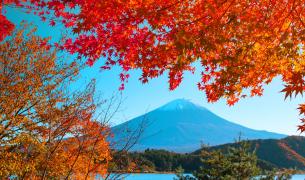 Japan: Yokohama - Fuji