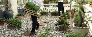 Hotel Neptun - LifeClass Hotels & Spa Hotel Neptun - LifeClass Hotels & Spa