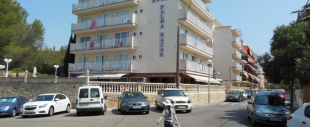 Palma Mazas Palma Mazas