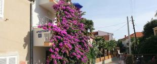 Apartments J&R Babara Apartments J&R Babara