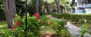 Ferrera Park Ferrera Park