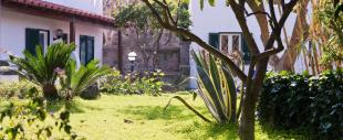 Park Hotel Terme Mediterraneo & Dependance Park Hotel Terme Mediterraneo & Dependance