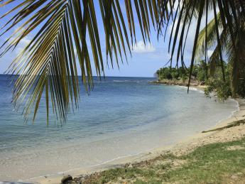 Martinique Urlaub Gunstig Buchen Check24 Reise Vergleich