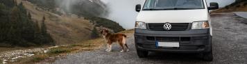 Hund neben Camper2_Roadtrip_CHECK24/Schwurack_Emotion