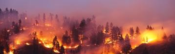 Waldbrand