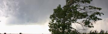 Ein Baum im Vordergrund biegt sich unter heftigem Wind, im Hintergrund sind Felder zu sehen.