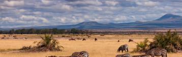 Kenia, Masai Mara