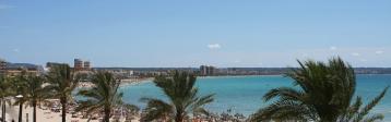 Spanien: Mallorca Can Pastilla Strand Palmen