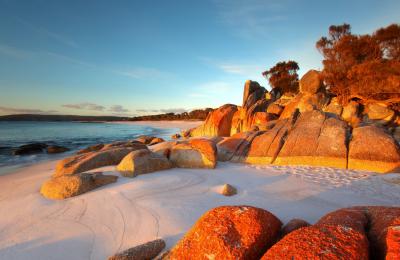 Bay of Fires - Tasmanien Bay of Fires - Tasmanien