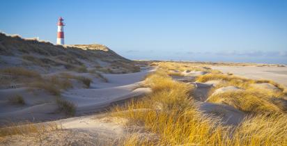 Lister Ellenbogen - Sylt Lister Ellenbogen - Sylt