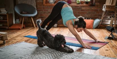 Ayurveda+Yoga+Hund+zuhause+Wohnzimmer+Sport