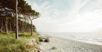 Weststrand - Fischland-Darß-Zingst Weststrand - Fischland-Darß-Zingst