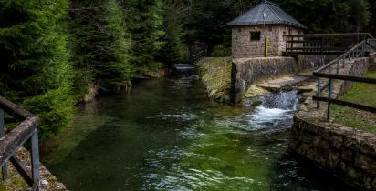 Thüringer Wald Thüringer Wald