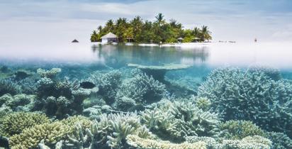 Malediven: Unterwasser - Insel