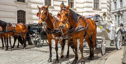Wien Wien