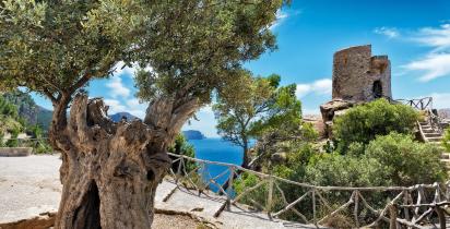 Mallorca Mallorca