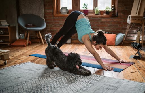 Ayurveda+Yoga+Hund+zuhause+Wohnzimmer+Sport