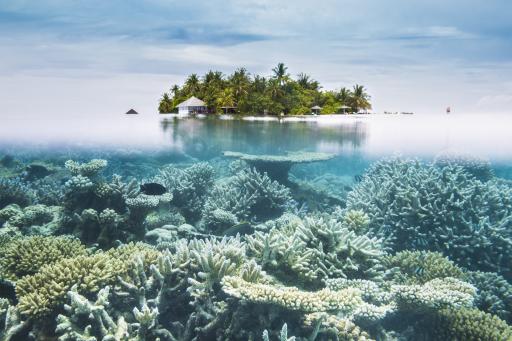 Malediven: Unterwasser - Insel