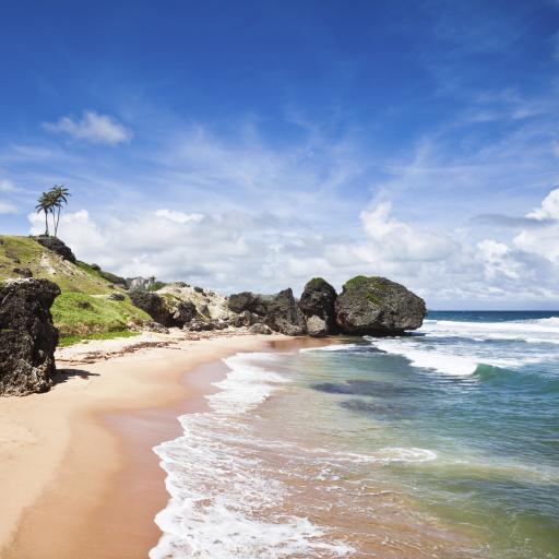 Barbados Barbados