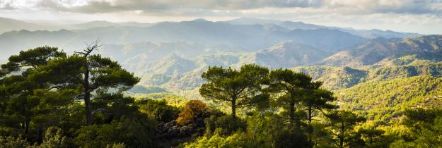 Troodos Troodos
