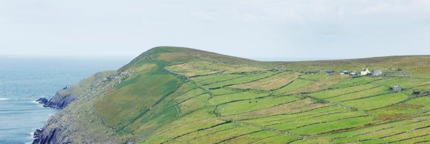 Rundreise Irland: Kerry - Dursey Island