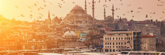 Suleymaniye Mosque - Istanbul Suleymaniye Mosque - Istanbul