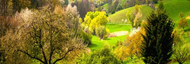 Odenwald - Deutschland Odenwald - Deutschland