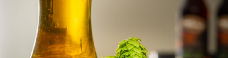 Bier+Hopfen+Brauen