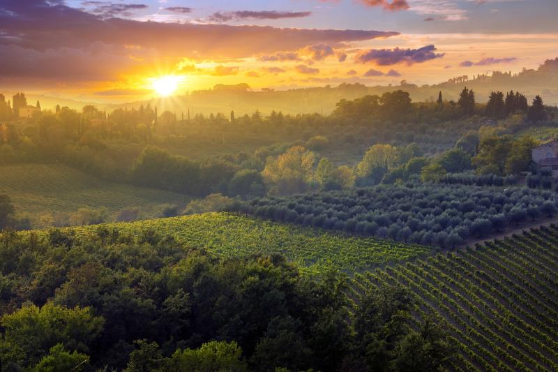 Italien: Toskana - Herbst
