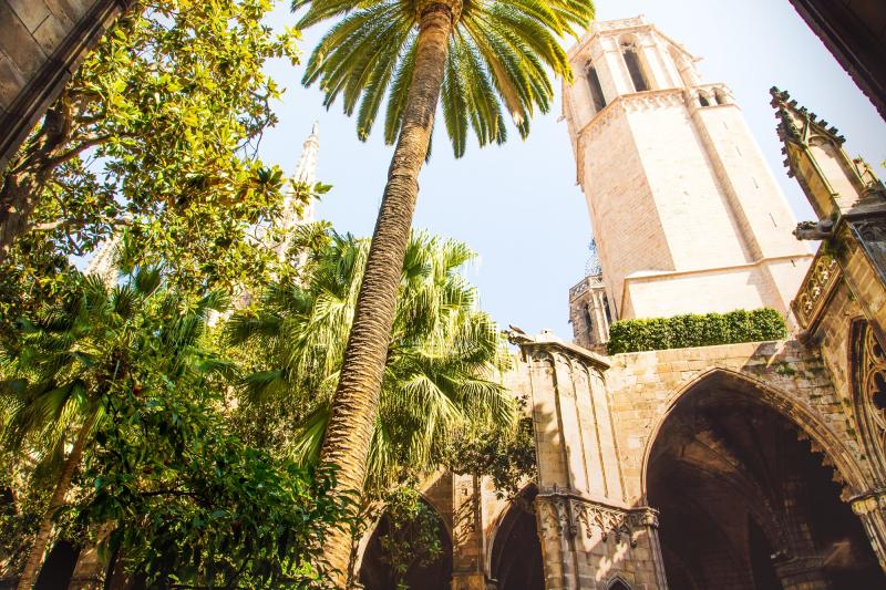 48 h Barcelona: Kathedrale - Innenraum - Palme