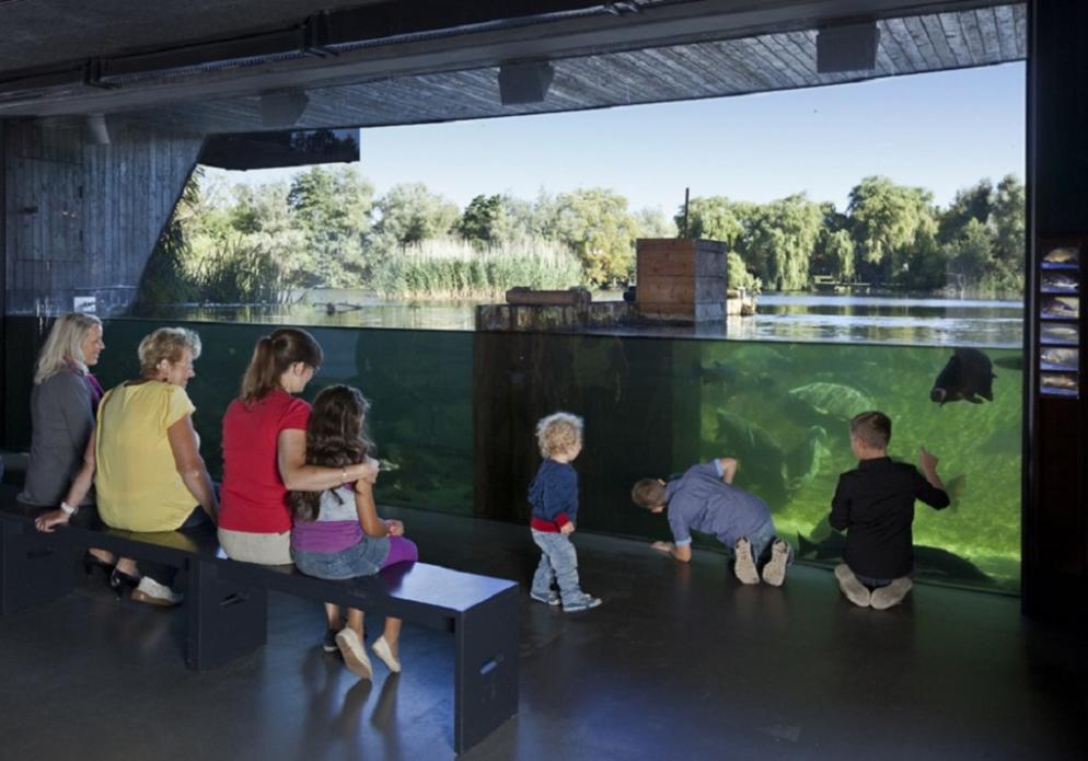 Müritzeum Müritzeum